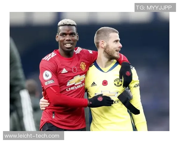 曼联球星花式足球技巧大揭秘 力量与艺术的完美结合