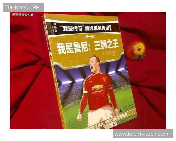 足球球星档次解析：从超级巨星到潜力新星的阶梯之路